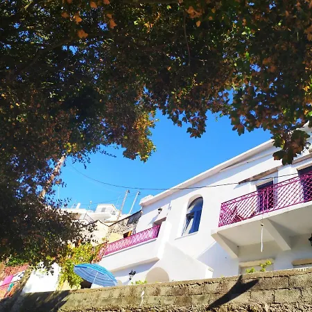 Traditional Family House, Ground Floor With Yard